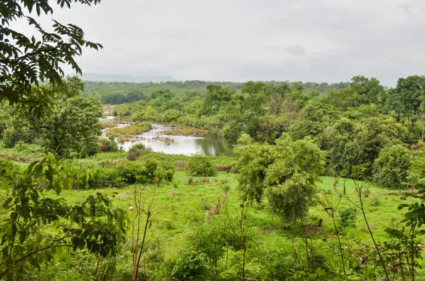 Kounsitel, Boké, Guinea / by jbdodane / Flickr / CC BY-NC 2.0 Kounsitel, Boké, Guinée